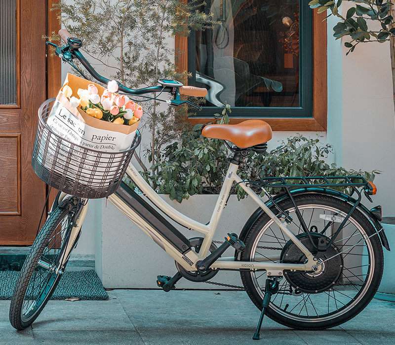 commitment-to-sustainability