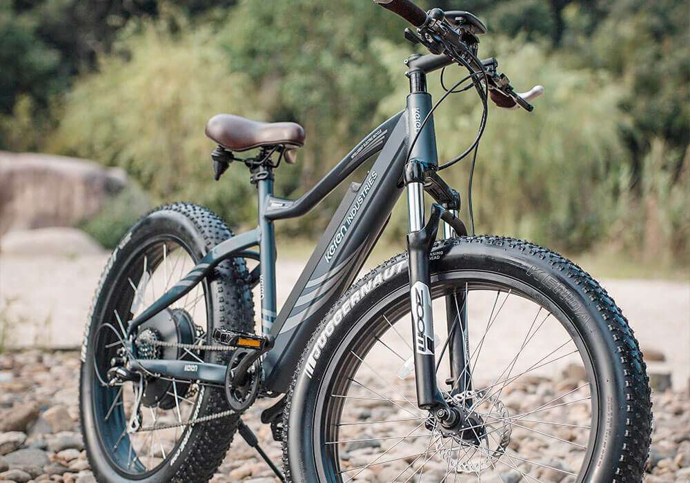 oem-electric-bike