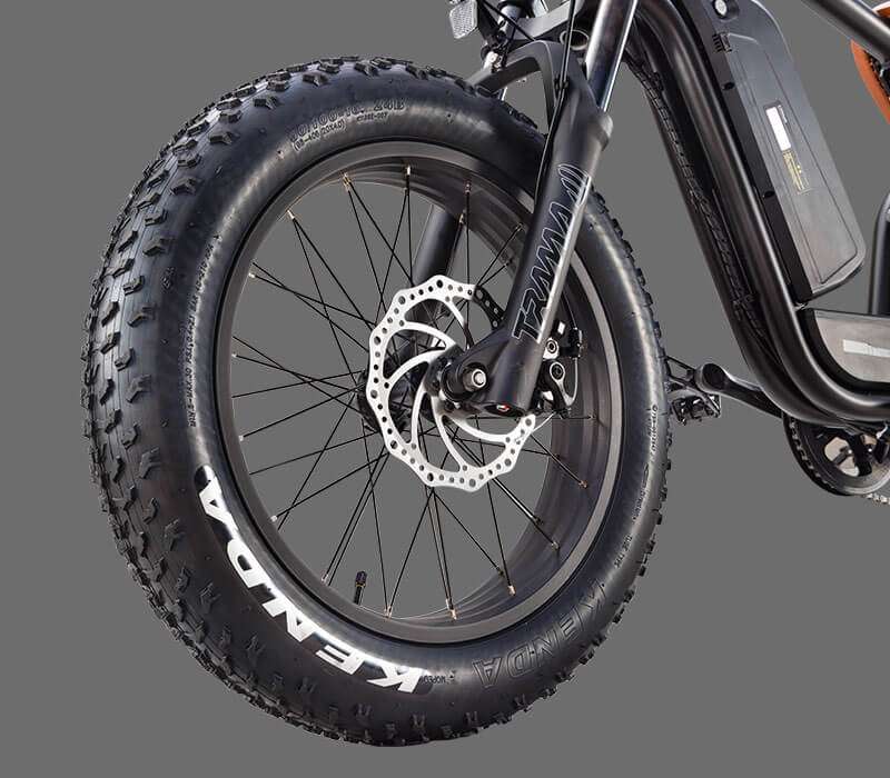 5-speed-electronic-power-assist-mode