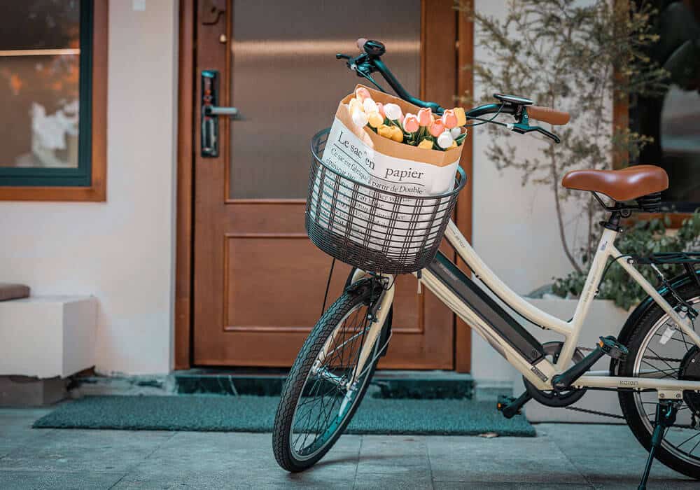 what-is-an-electric-bike
